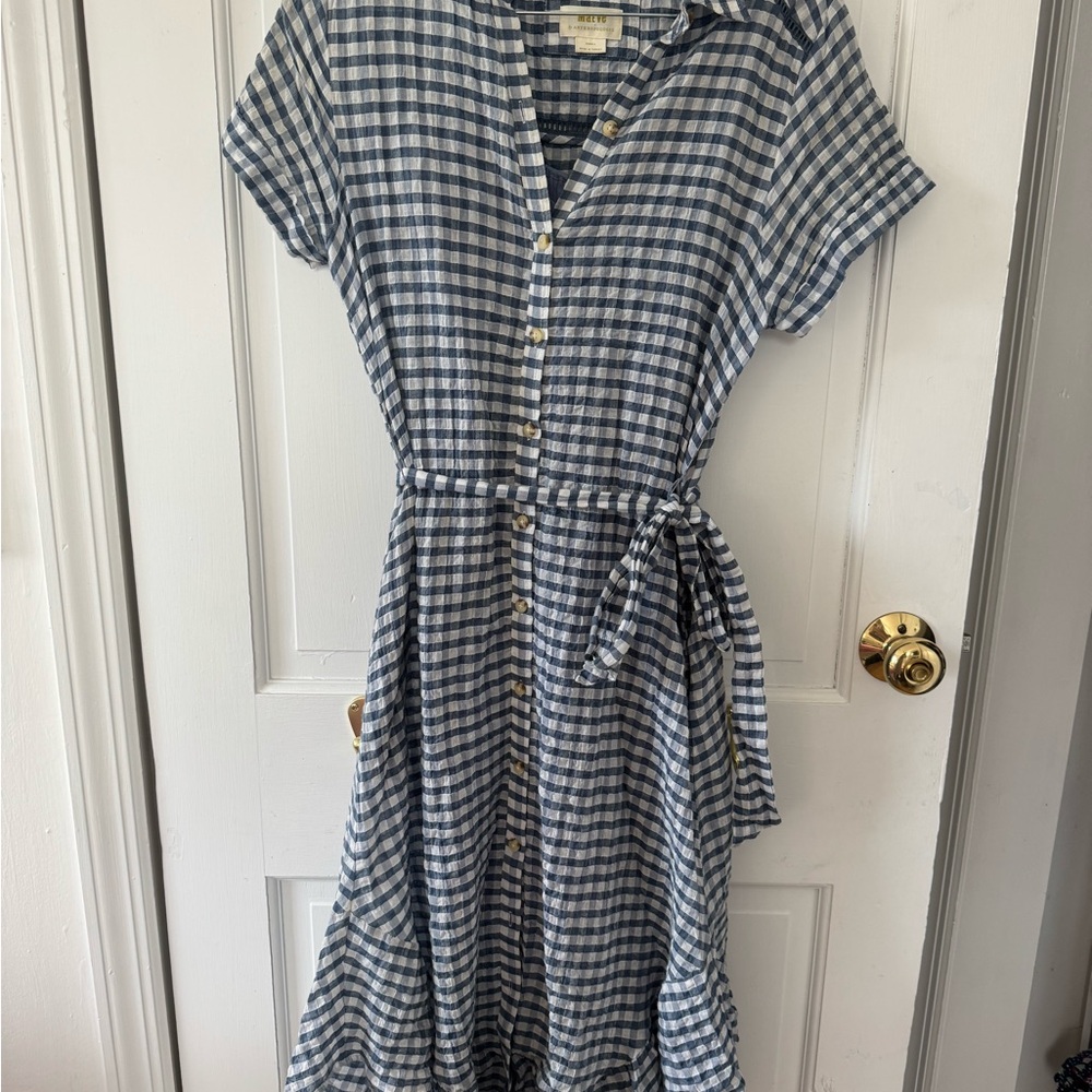Maeve Blue and White Gingham Button-Front Shirt Dress